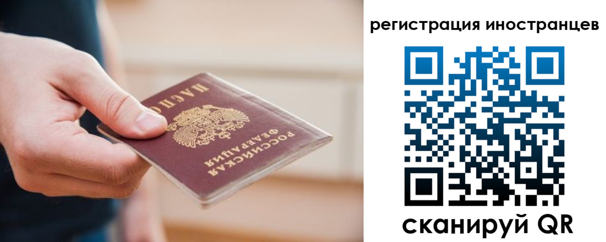 прописка гарантия в Озёрске